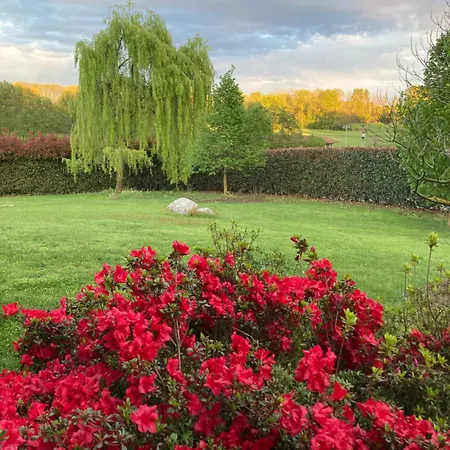 Altana Del Motto Rosso * Gattico